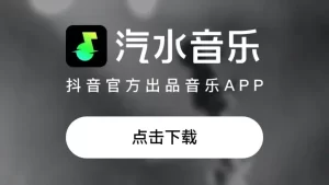 汽水 音乐